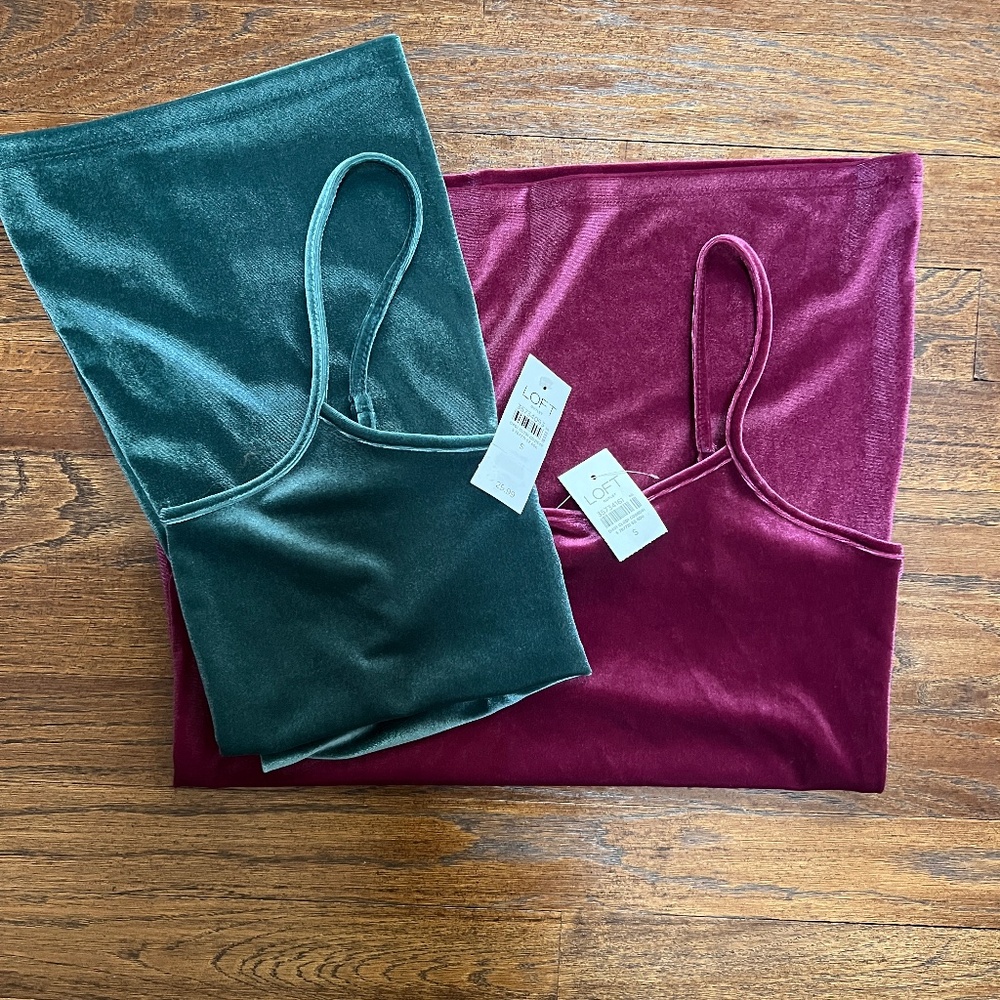 2 (TWO)Ann Taylor Velvet Tanks